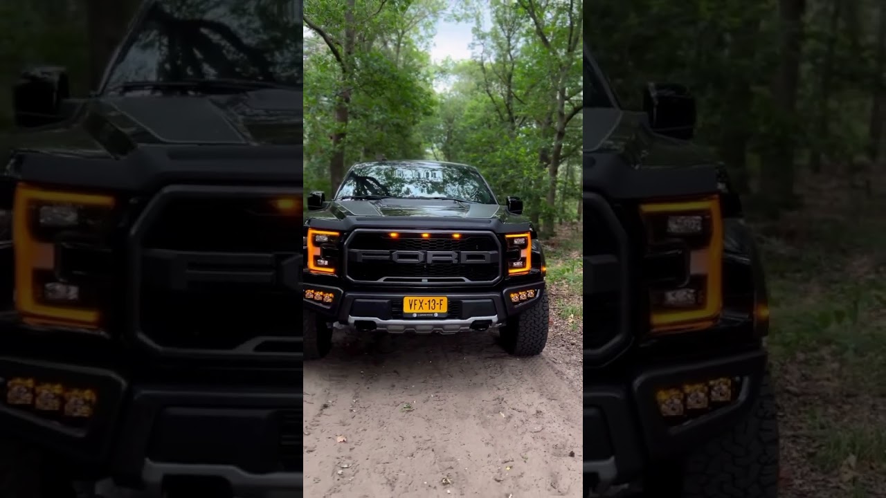 2018 Ford F-150 Raptor #shorts #ford #black
