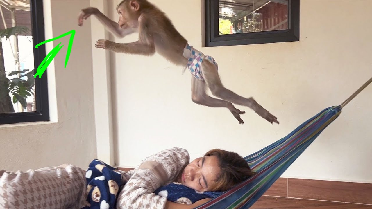 Geezzz..! Our Lil Queen Jaila Could FLY So High Over Mom