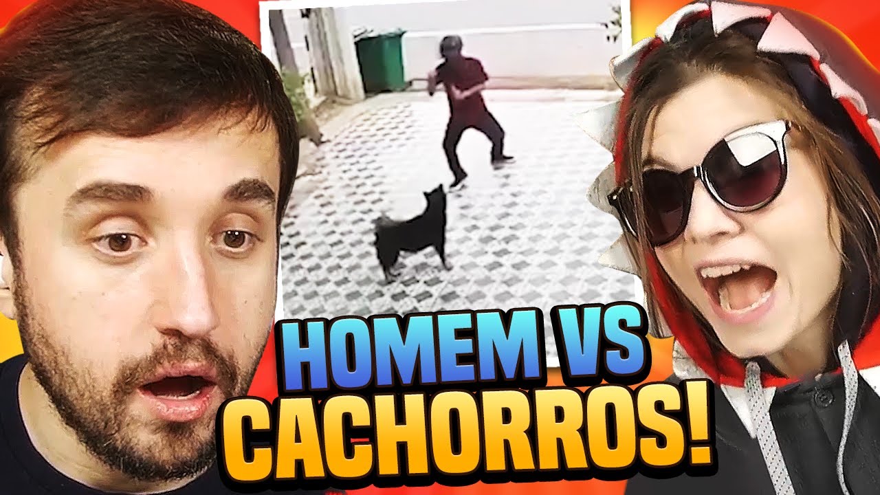 ANIMAIS SENDO BABACAS!