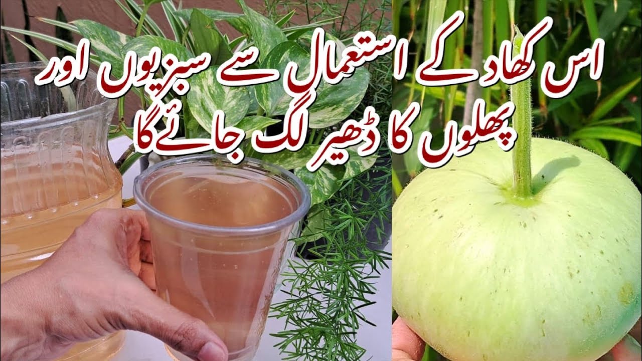 Free 100% Natural Liquid Homemade Fertilizer | Secret to Healthy Plants, Vegetables & Flowers