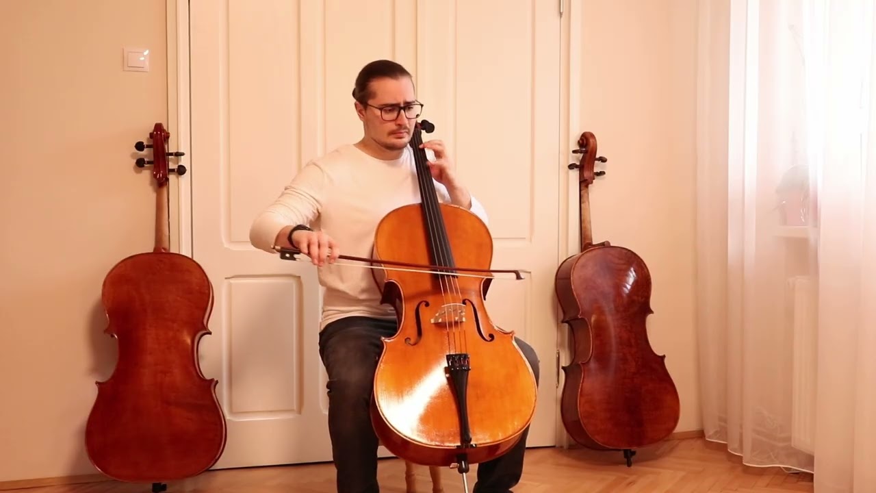 Professional Level Stradivari Cello 4/4 by Vivarius Workshop # 87