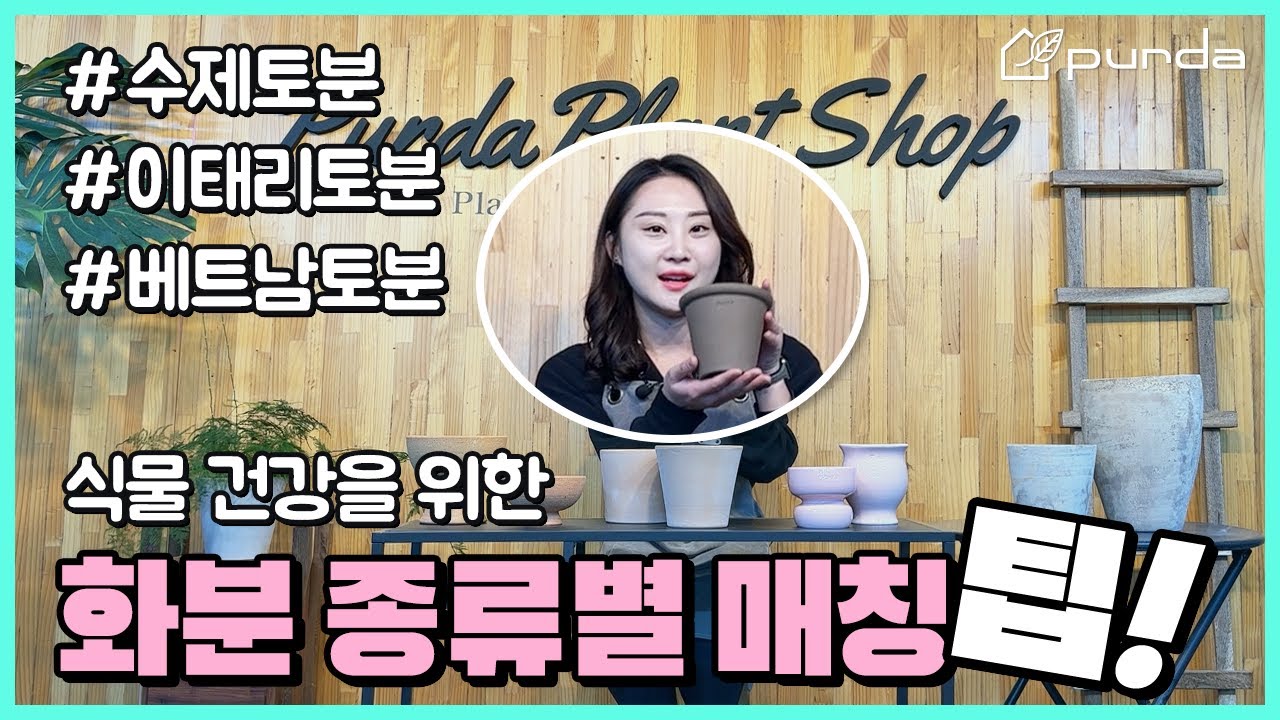 🚨푸르다 수제토분🚨 화분고르기 팁! 화분 종류와 재질 별 특성 및 차이