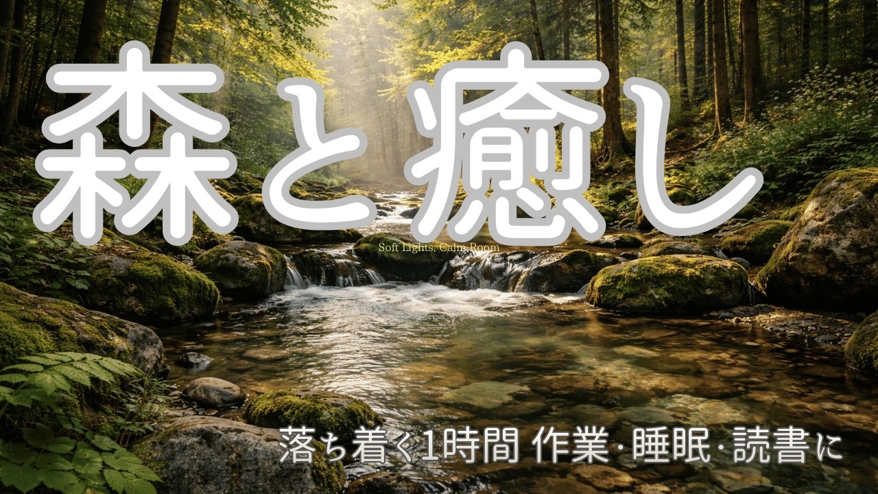 森の癒しBGM｜落ち着く1時間 作業・睡眠・読書に