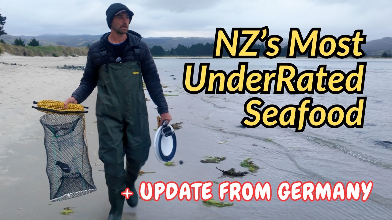 We Caught HEAPS of Crabs! (Catch and Cook New Zealand)