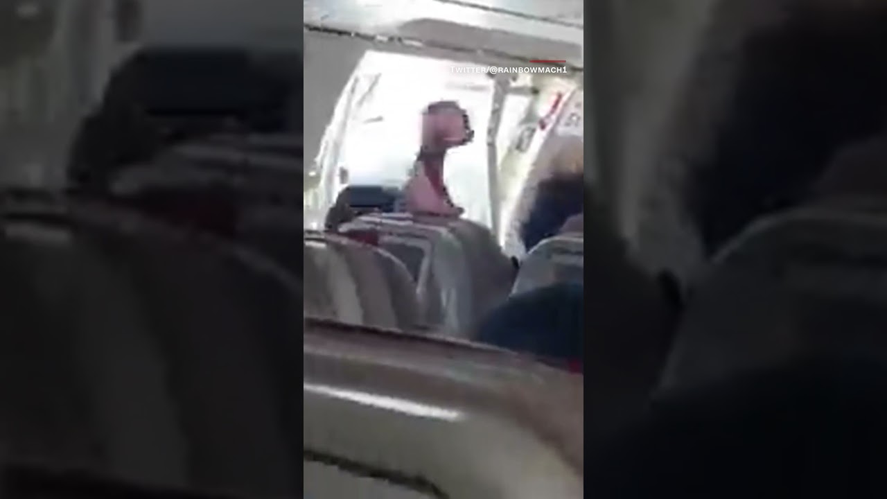 Passenger opens plane door mid-flight