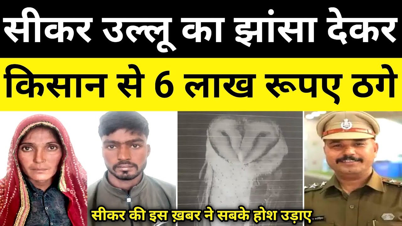 सीकर उल्लू का झांसा देकर 6 लाख ठगे 2 पकड़े सीकर राजस्थान समाचारSikar Rajasthan News #hgknewsknowlage