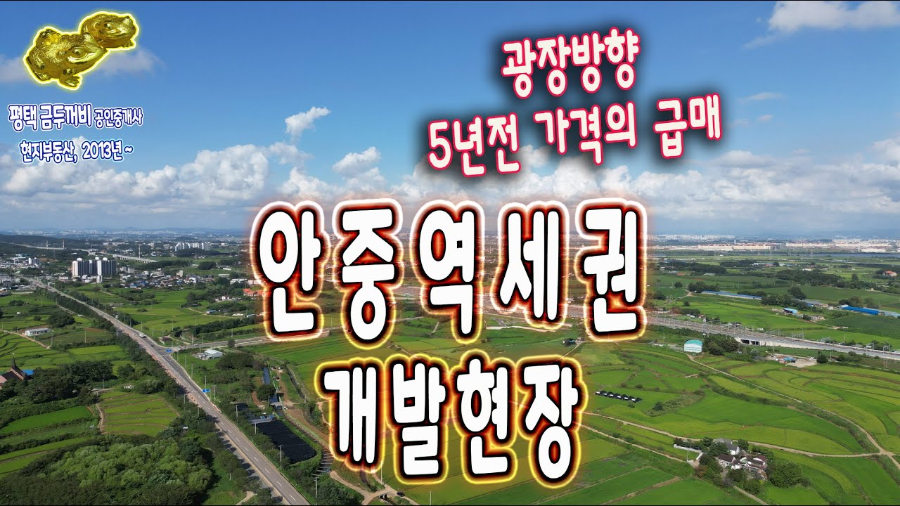 평택 안중역세권 개발 예정지역 현장 모습과 5년전 가격의 토지 급매 영상