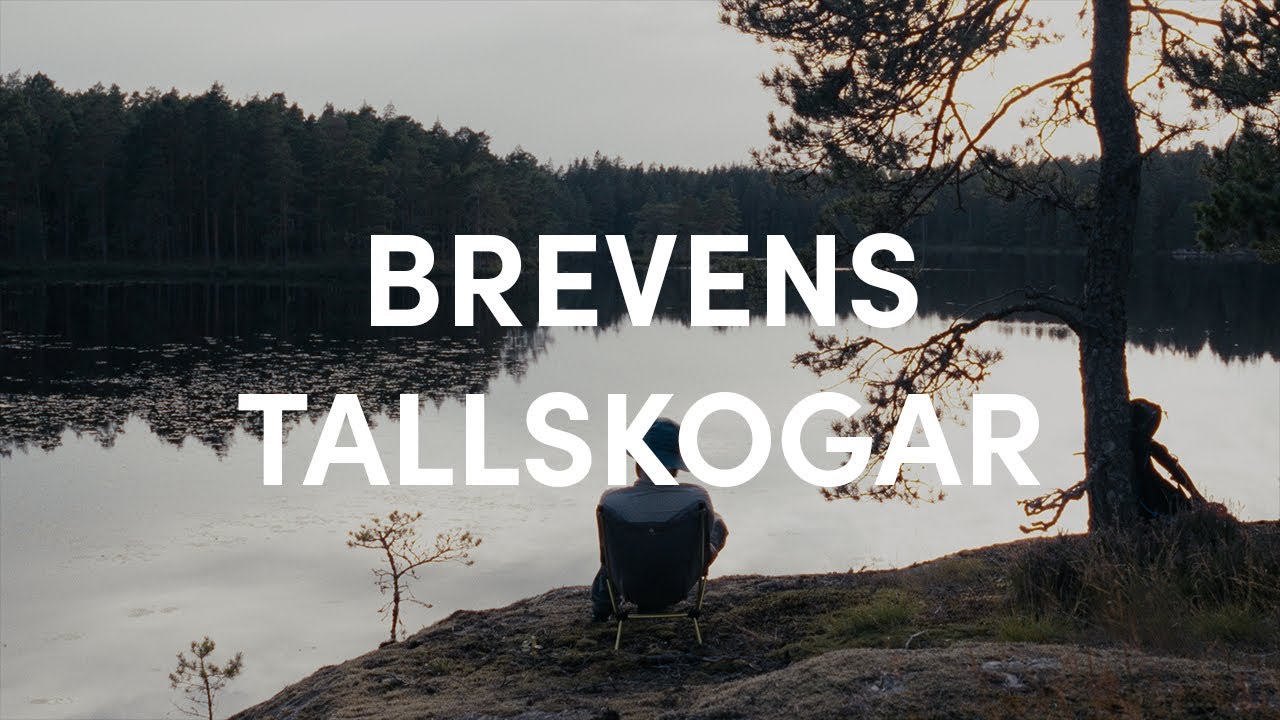 Peaceful hike and camp in Brevens Tallskogar, Sweden - enjoy the silence