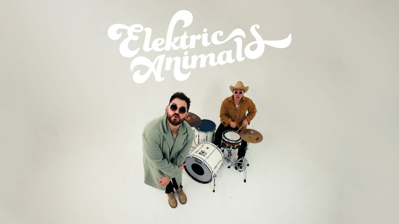 Elektric Animals - Feel Something (Official music video)