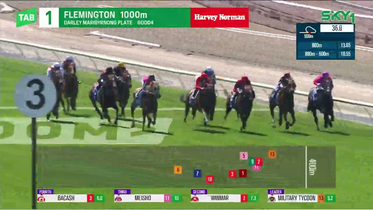 Maribyrnong Plate 2024 - TYCOON STAR (2YO SW G3) Group 3 Flemington 5 November
