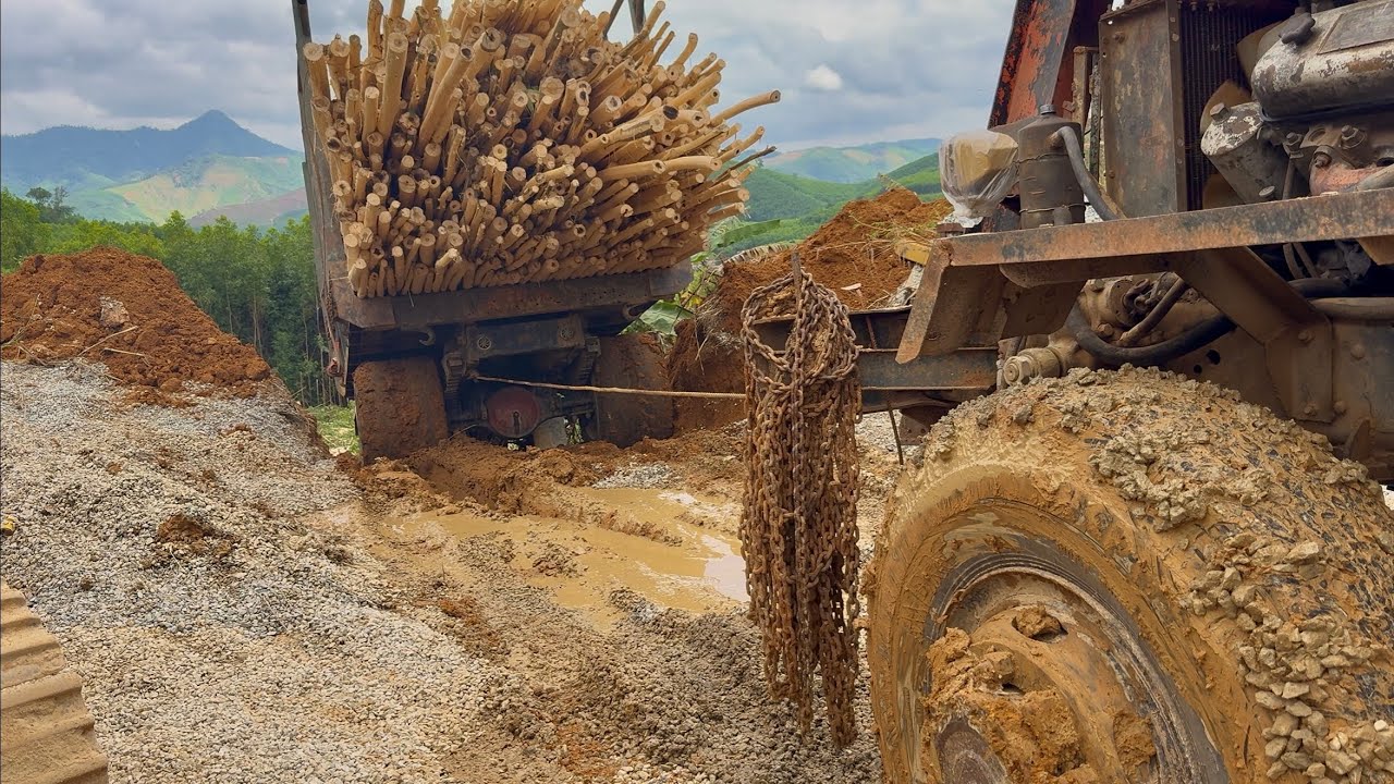 The truck was sturdy and powerful, carrying acacia wood.