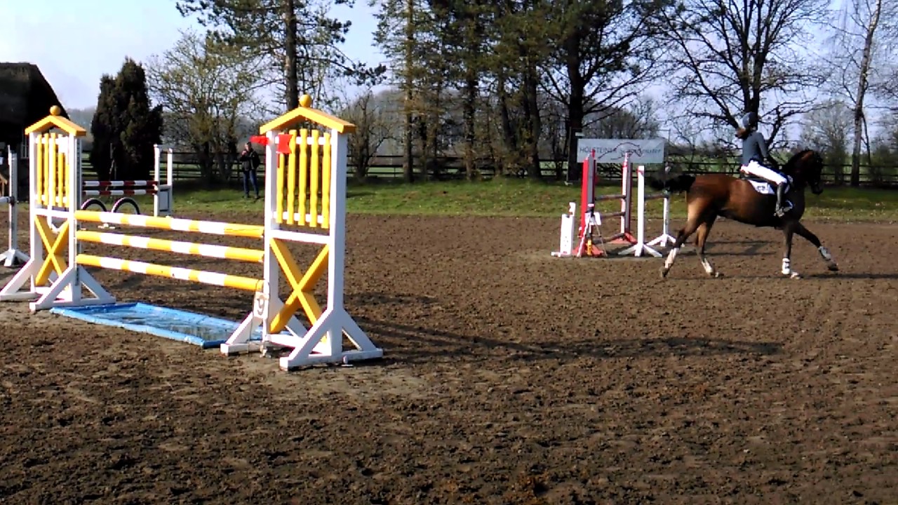 L-Stilspringen Groß Wittensee 2017 Anne-Mieke Ewert und Little Luy