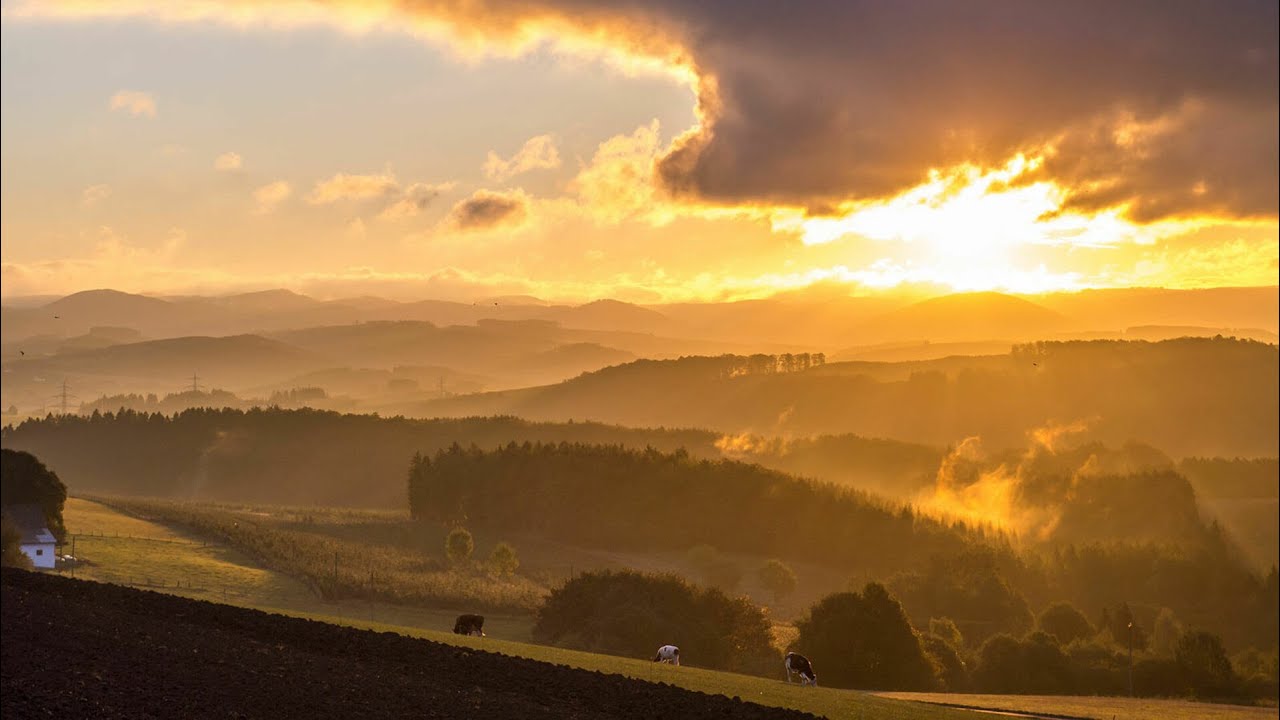 Geen dag zonder Hem. Psalm 139:4,2