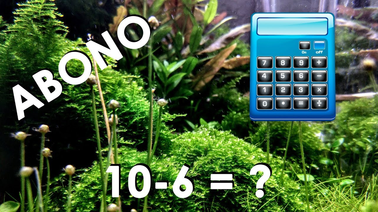 📝📝CALCULAR EL CONSUMO DE NUTRIENTES DE UN ACUARIO PLANTADO.