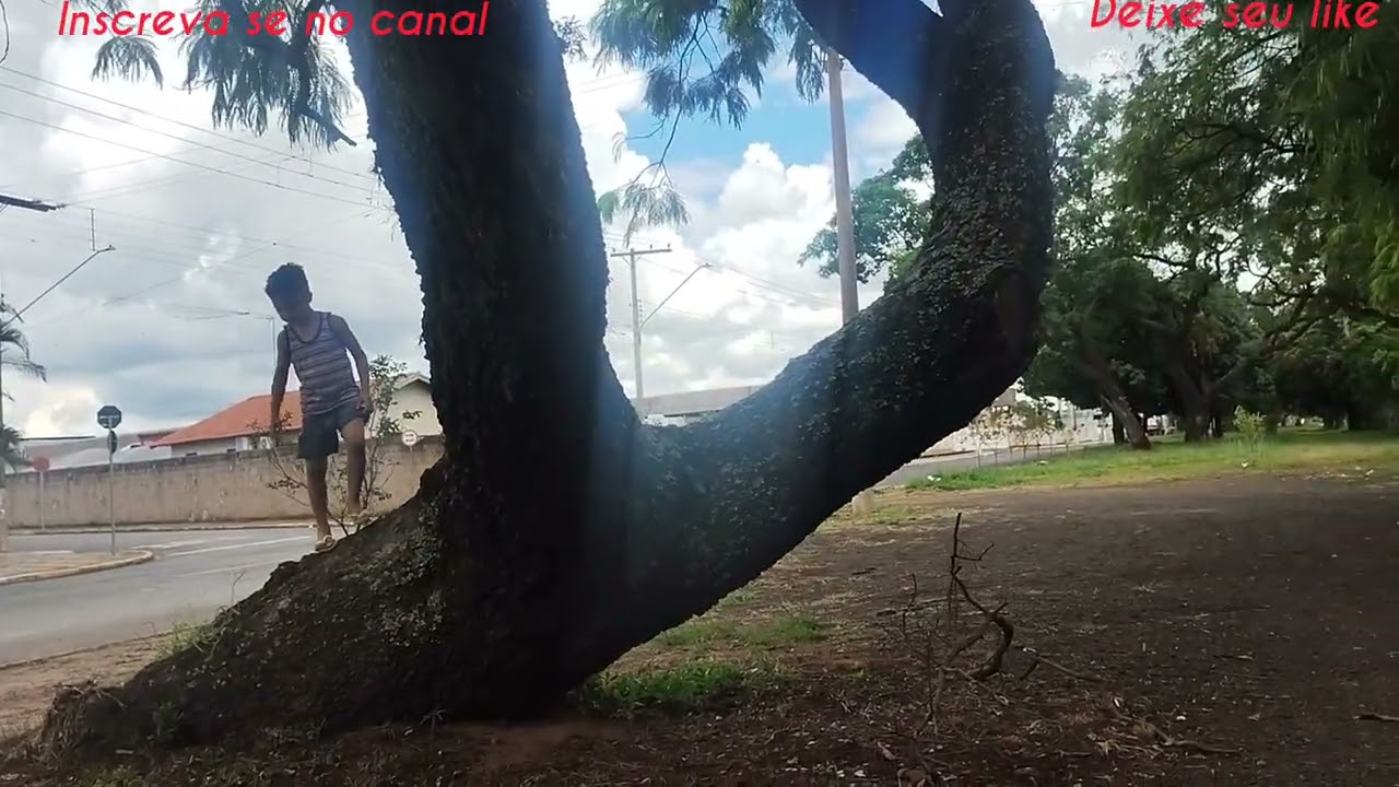 Bora ver mais um vídeo especial pra todos vocês aí meu povo lindo 