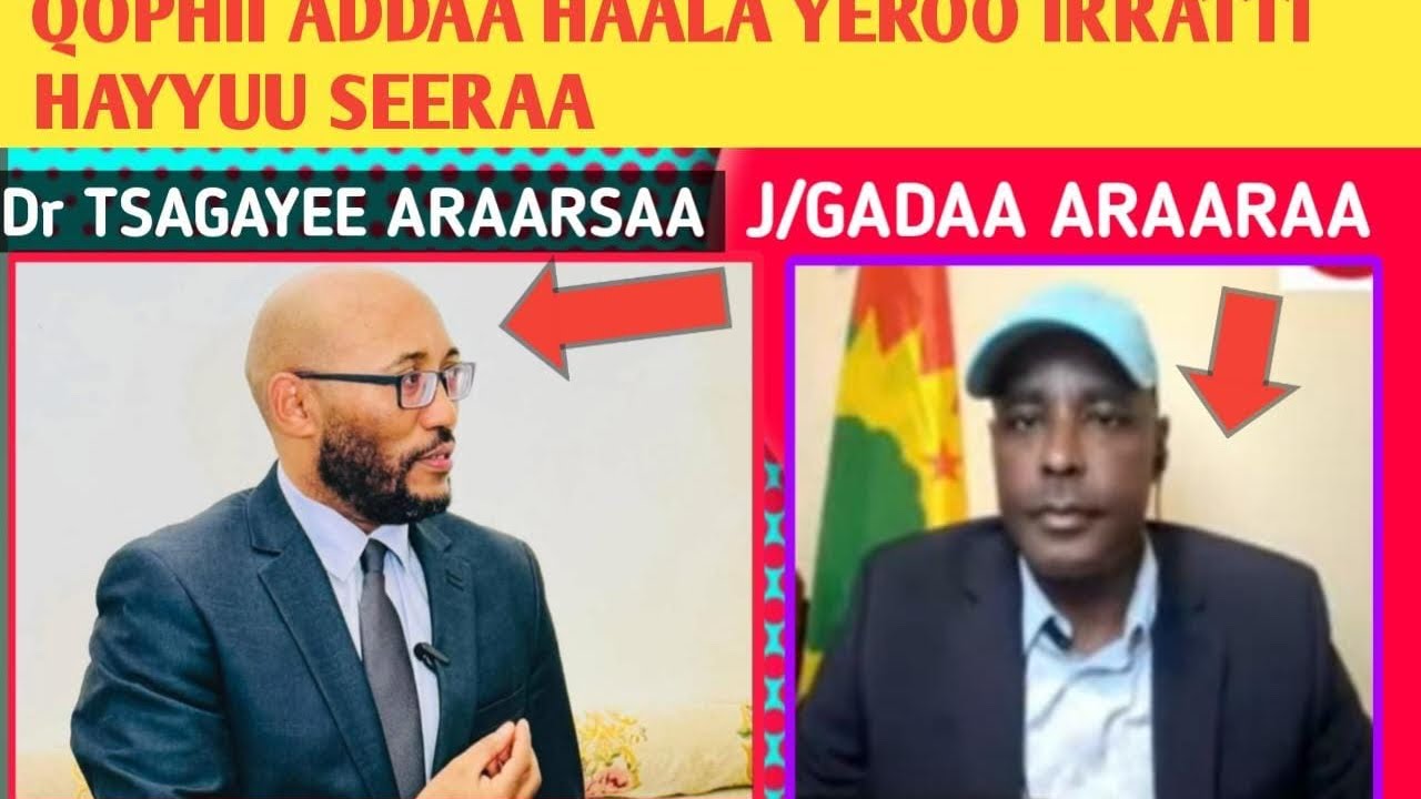 Dr Tsegaye Araarsaa fi Jaal Gadaa Araaraa haala Yeroo irratti Miidiyaa Walabummaa Oromiyaa wajjiin 