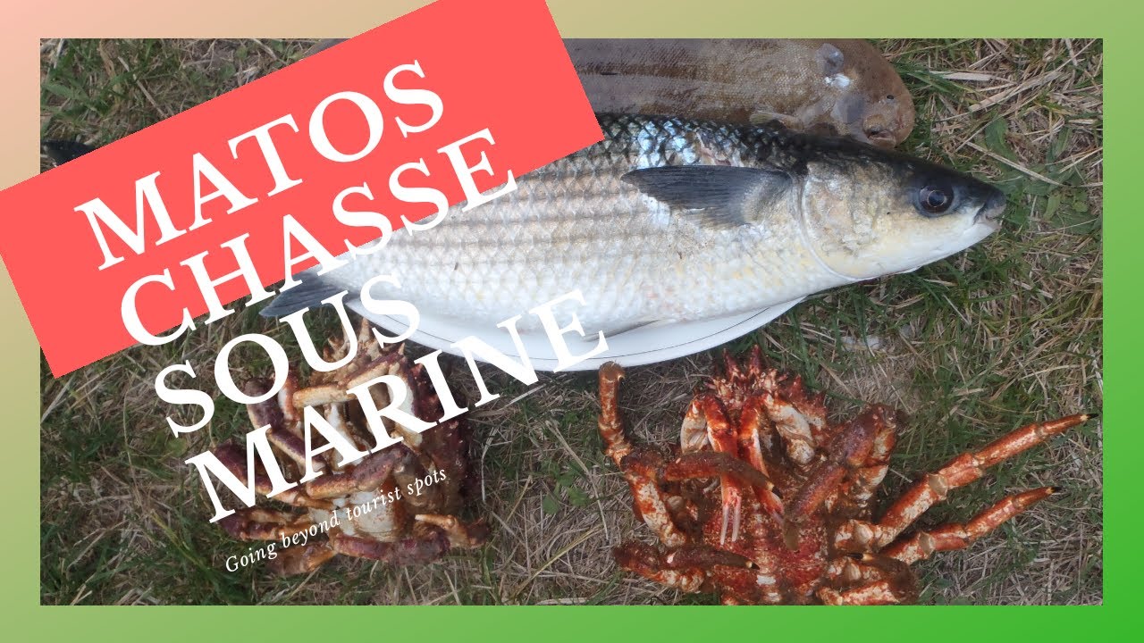materiel chasse sous marine