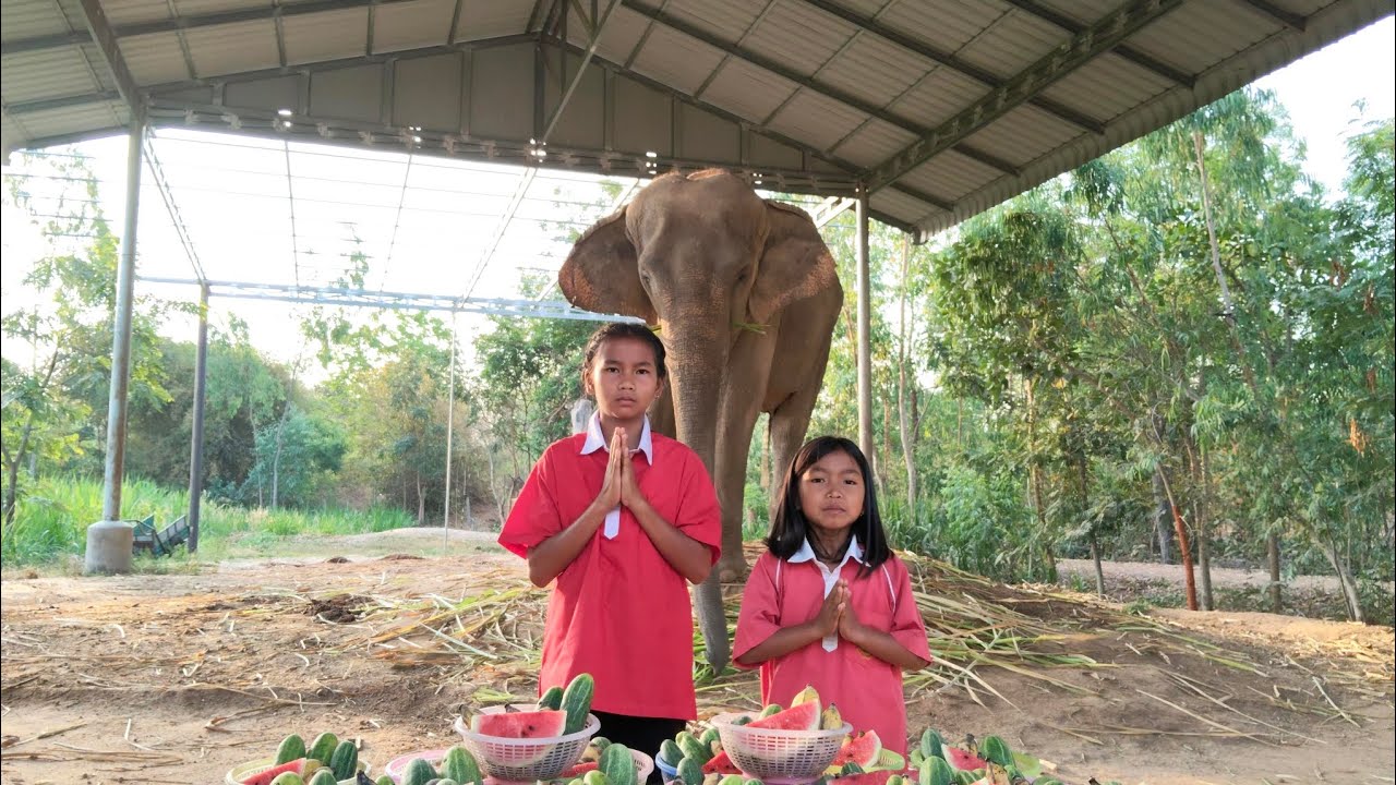 🙏กราบขอบพระคุณอั่งเปา🧧🧧จากคุณแม่บอนนี่ค่ะ🥰