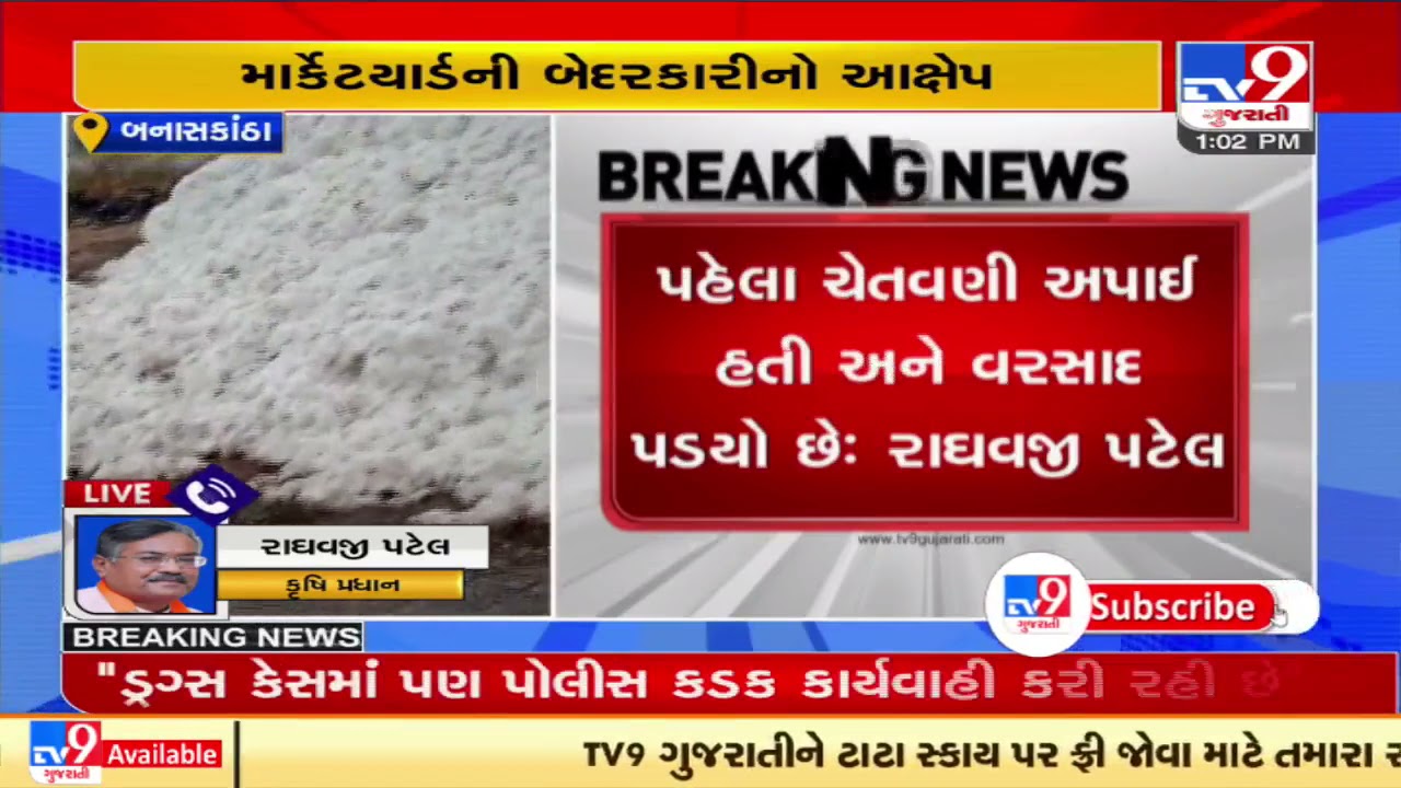 Unseasonal rain destroyed ripened crops in Amirgadh, farmers face huge loss | Banaskantha | Tv9
