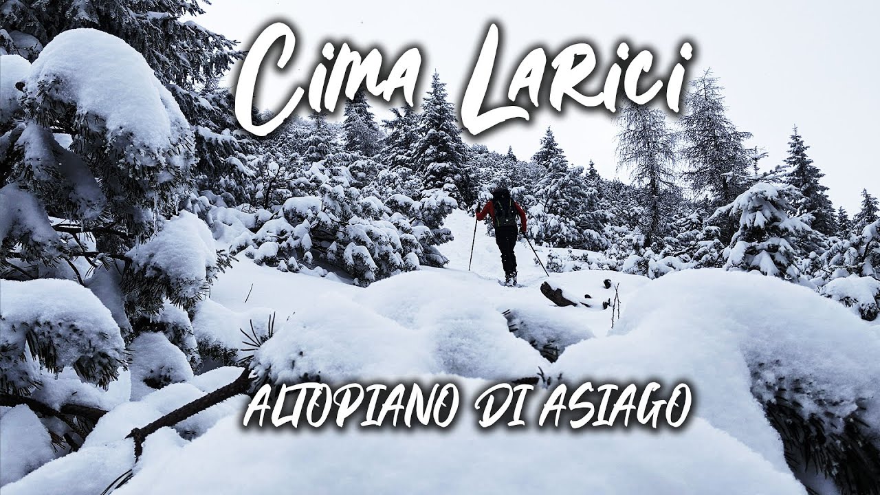 CIMA LARICI ◭ Ciaspolata sull'Altopiano di Asiago | Prealpi Vicentine