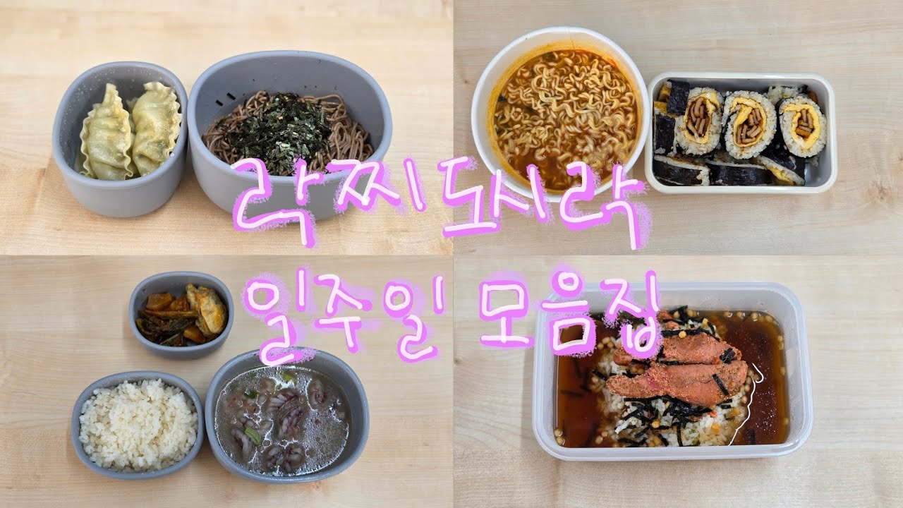 [락찌도시락] 연말연초병에 걸려 늦어버린 11월 셋째주 도시락🫣 | 도시락 3년차 현실 직장인 도시락