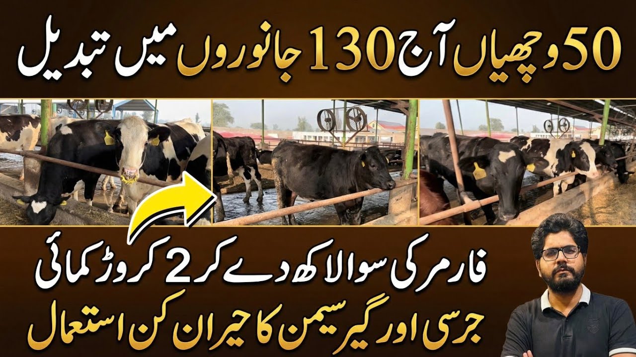 2 cror dairy farmer profit from 50 animals II Small investment dairy farming II Farmer success story