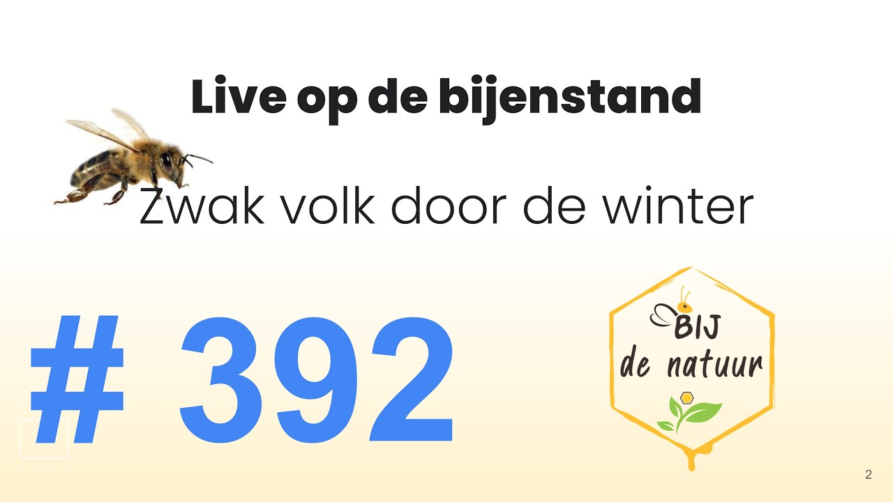 392 Zwak volk door de winter
