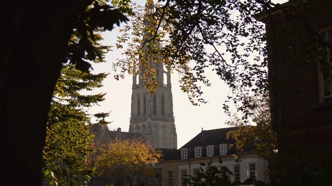 Autumn in the city