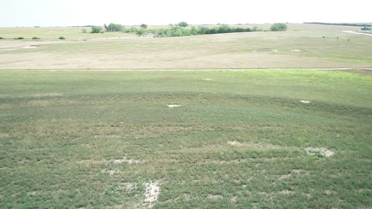 LLM Farm