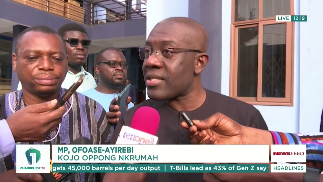 Mahama Administration Needs Constructive Criticism to Succeed — Kojo Oppong Nkrumah | News Feed