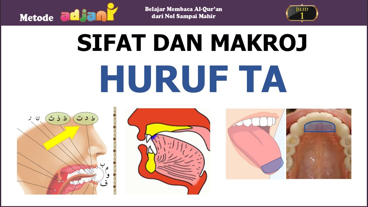 Sifat dan Makhroj Huruf Ta serta praktek kesempurnaan harokat [Sub ENG & Arab]