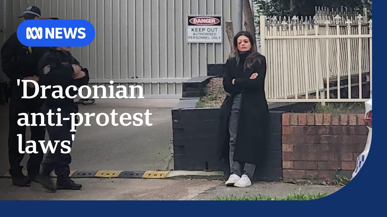 Former Greens candidate severely injured at pro-Palestinian protest | ABC NEWS