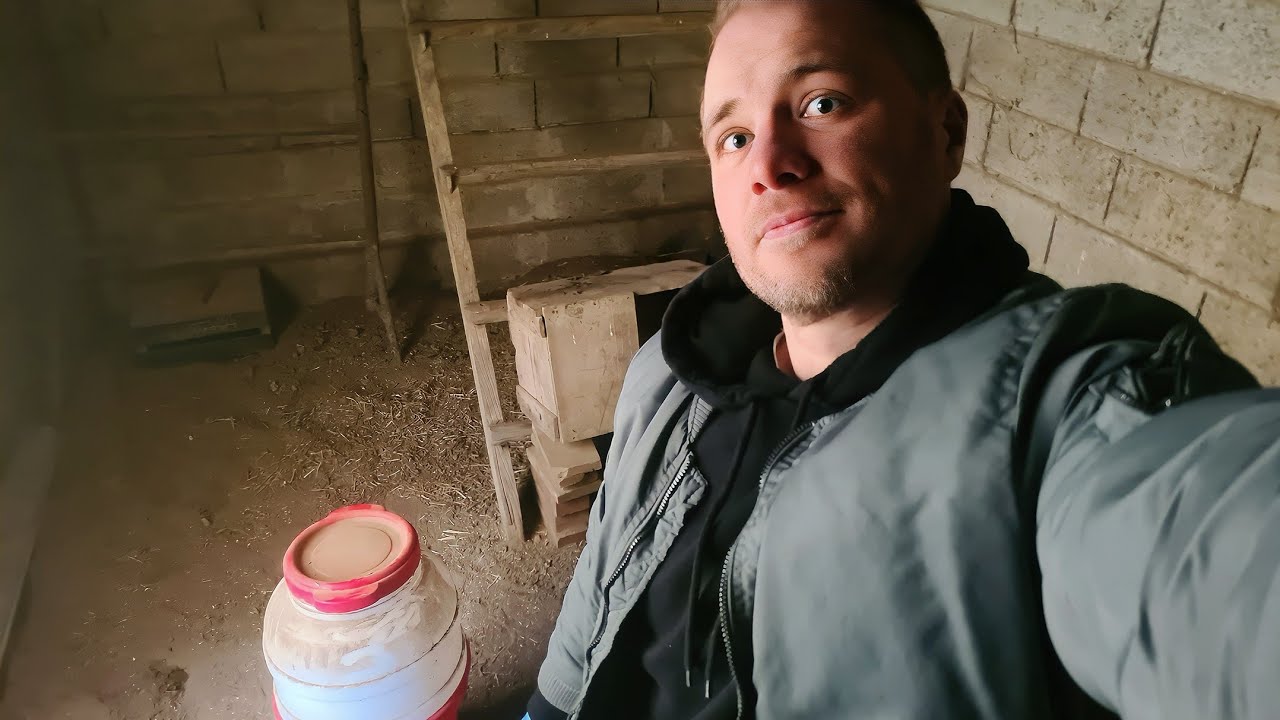 Comment se débarrasser des rats dans un poulailler ?