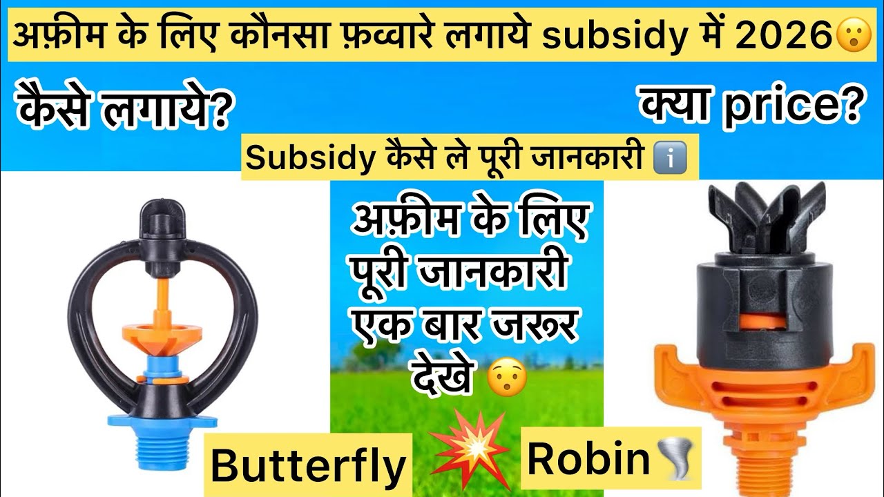Sprinklerलगाने से पहले यह वीडियो एक बार जरूर देखे होगा डबल फ़ायदा | अफ़ीम के लिए बेस्ट स्प्रिंकलर ⛈️