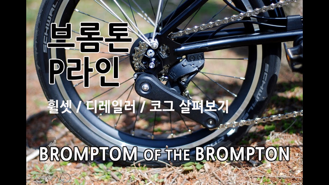 BROMPTON 브롬톤 p라인 휠셋 및 변속기 살펴보기 / 코그 교체 세팅