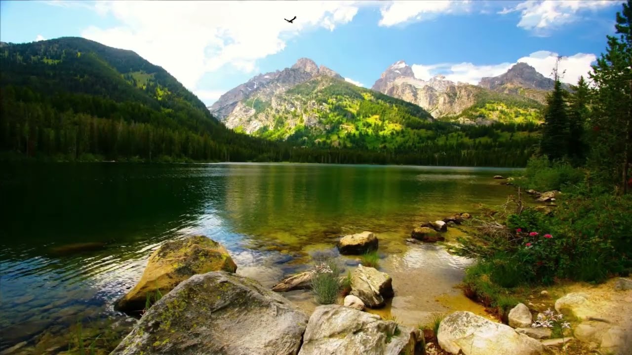 Alpine Lake & Eagle 4K Screensaver | OLED Safe