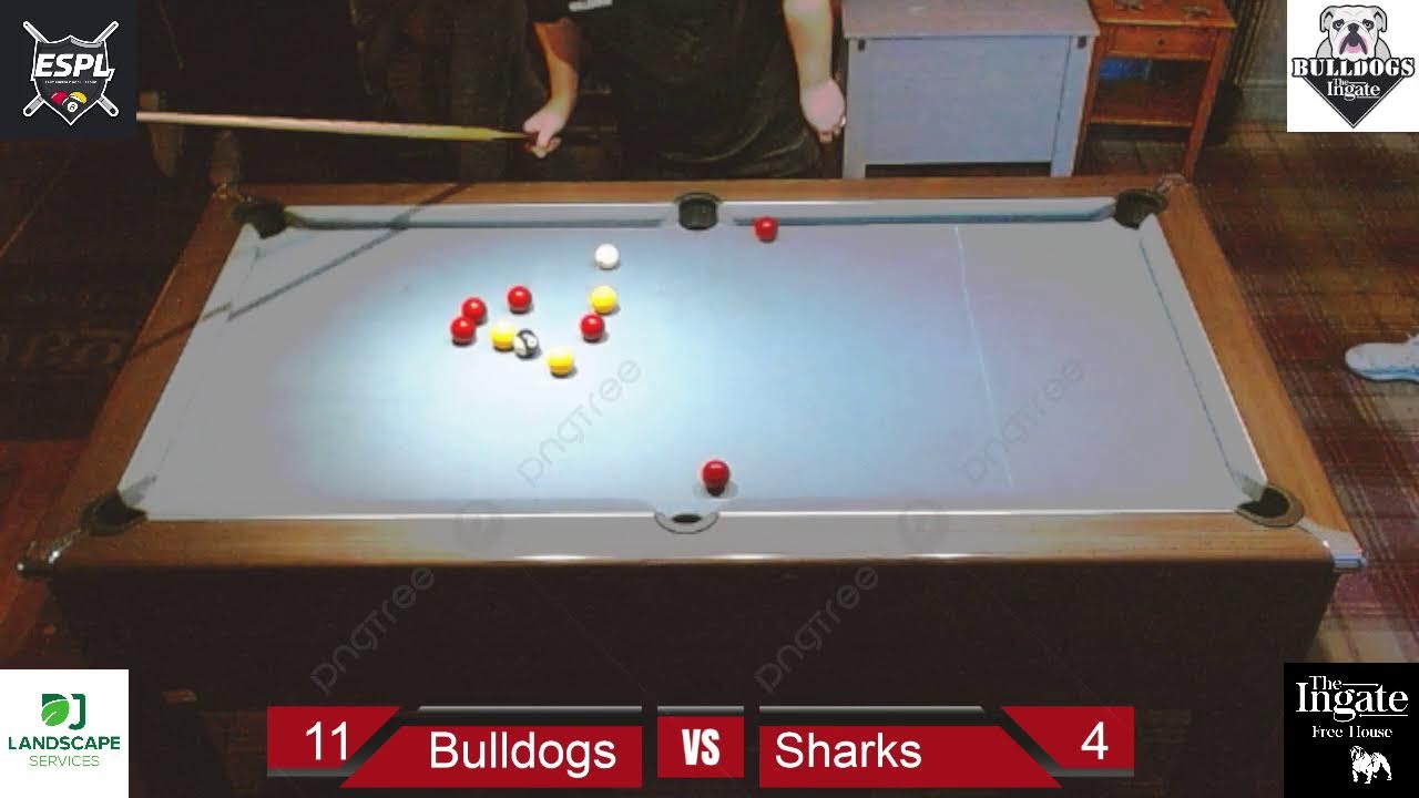 Bulldogs v Sharks - East Suffolk Pool League