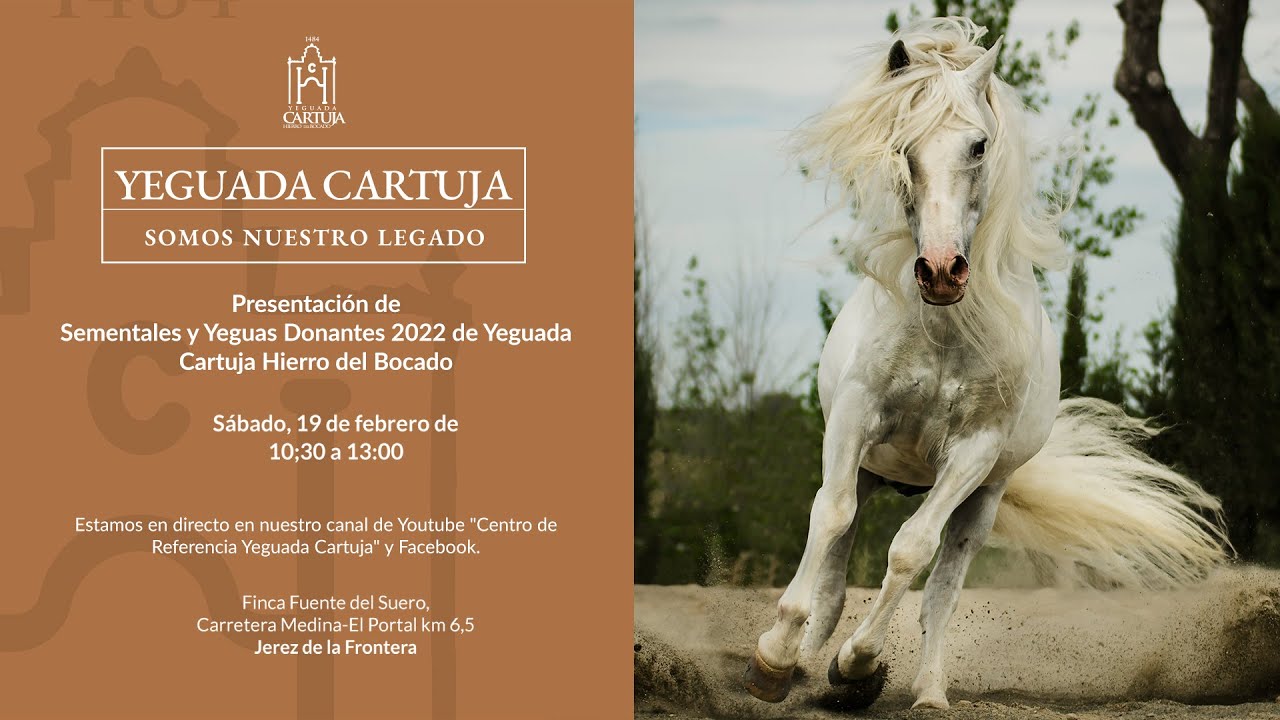 Presentación de Sementales y Yeguas Donantes 2022 de la Yeguada Cartuja Hierro del Bocado