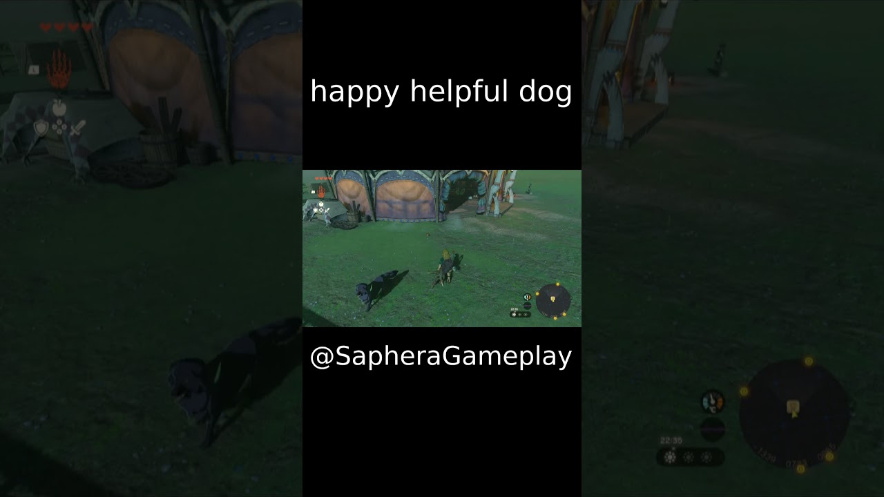 what a cute doggie #ZeldaTearsOfTheKingdom #TOTK #ZeldaGameplay #NintendoSwitch #OpenWorldGaming