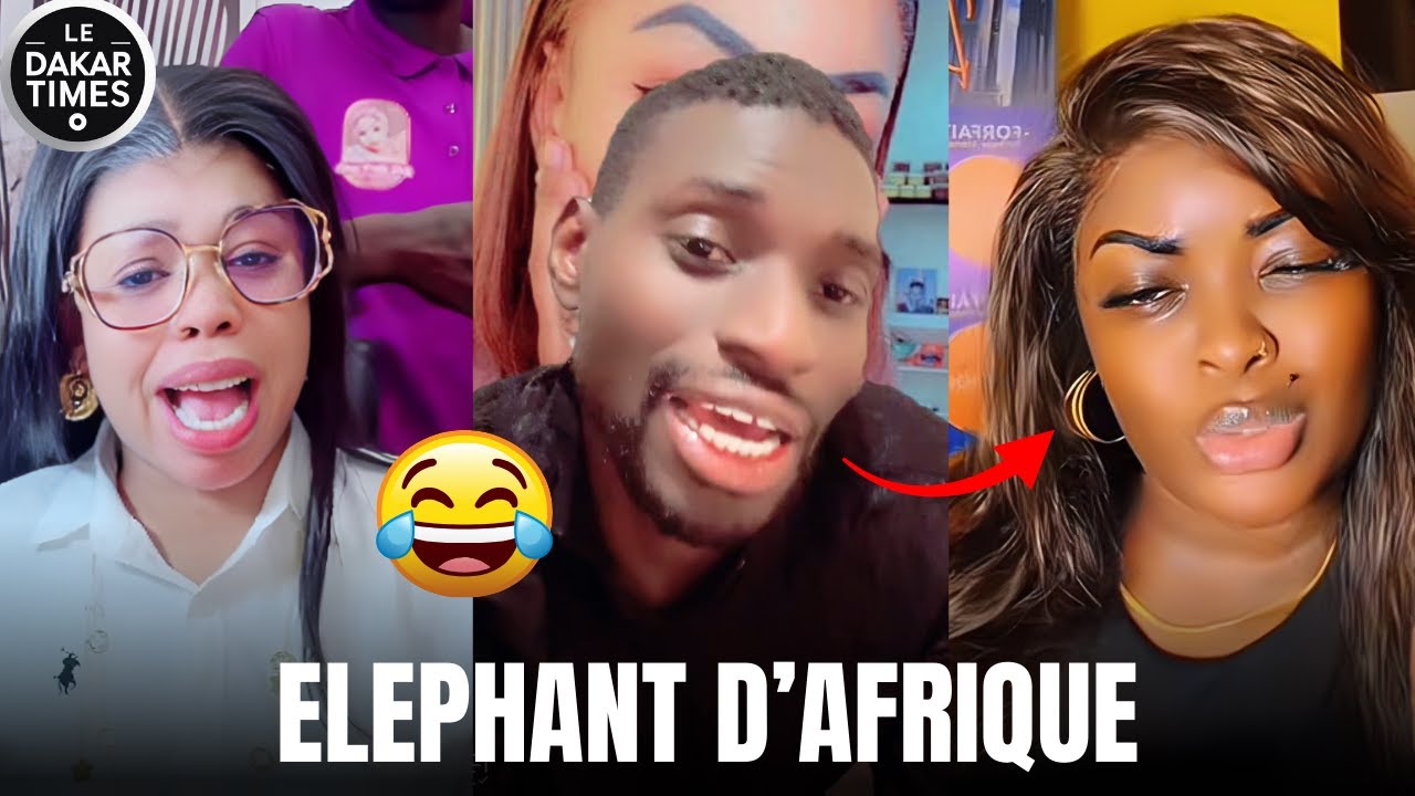 😱 Adamo Boss humilie complètement Awoush Kitty en live, le clash du siècle !