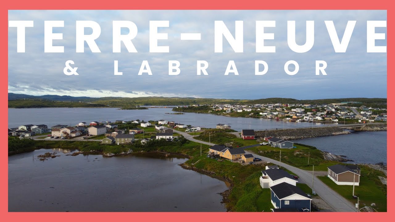 Émerveillement à Terre-Neuve & Labrador!