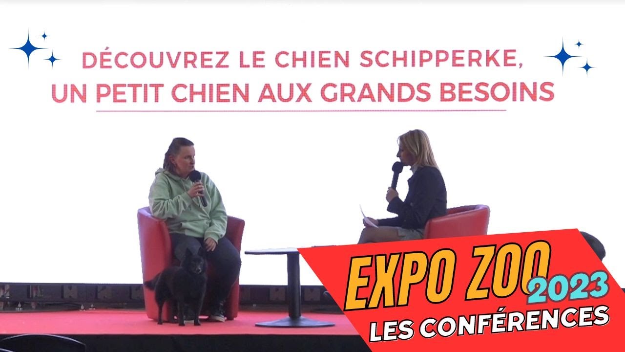 Découvrez le chien Schipperke, un petit chien aux grands besoins - Expo Zoo 2023 (Conférences)