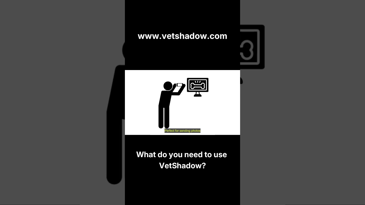 Expert vet support, any device, anywhere 