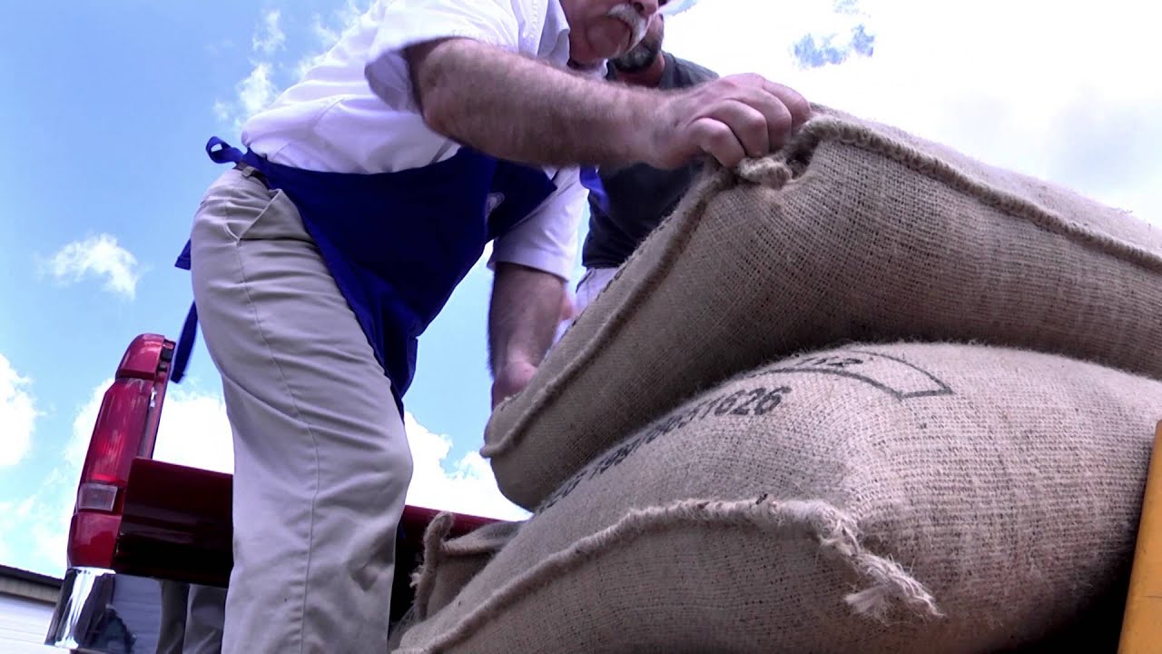 Blue Donkey Business Profile Video