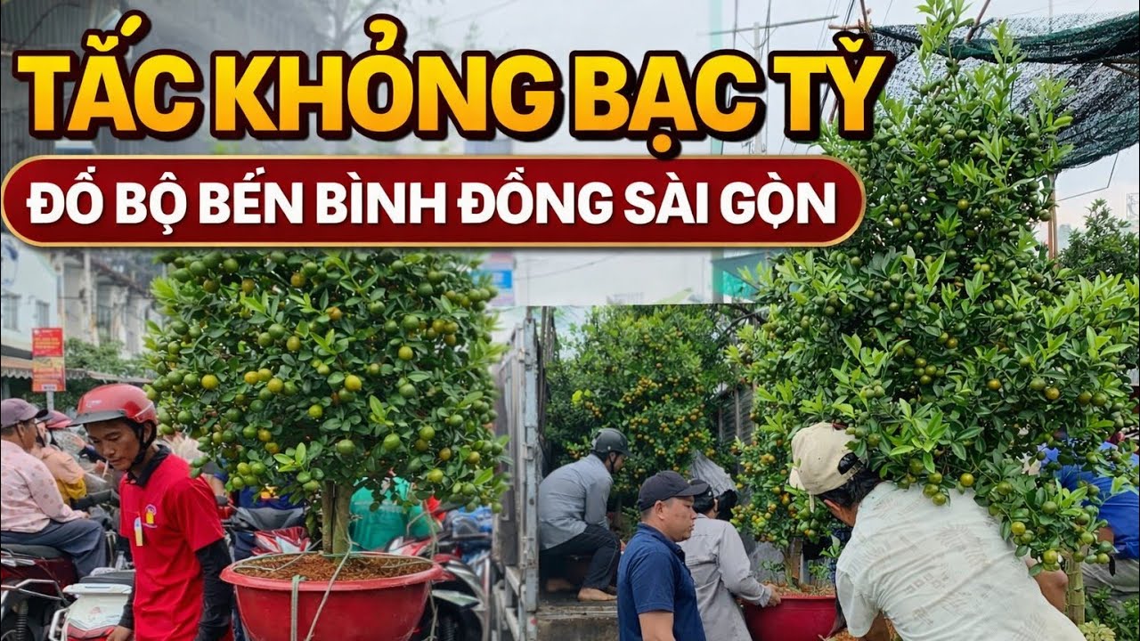 Xuất Hiện Tắc Khủng Bạc Tỷ Độ Bộ Bến Bình Đông Sài Gòn 