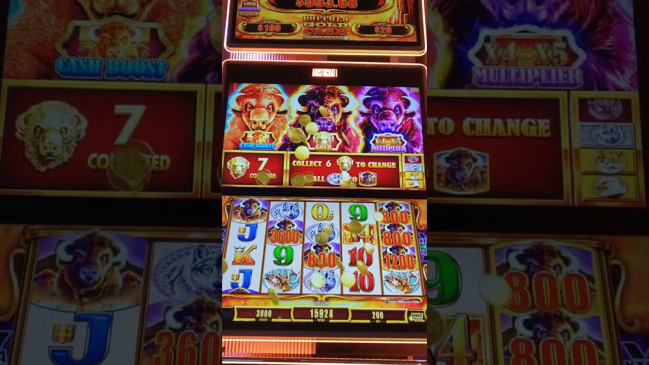 Casino Adventures 041 - Buffalo - Gold Cash Collection - FIRST SPIN MAGIC