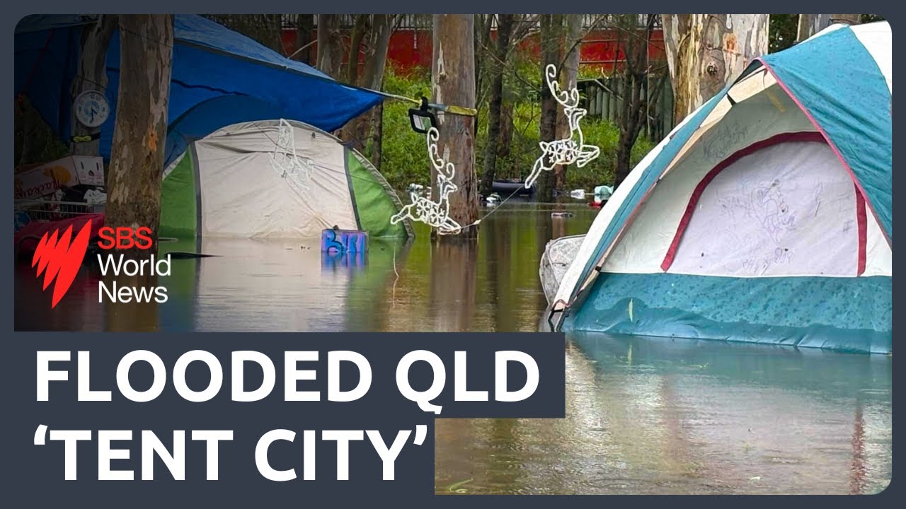 Flooded 'tent city' exposes 'shocking' QLD homelessness crisis following ex-Tropical Cyclone Alfred