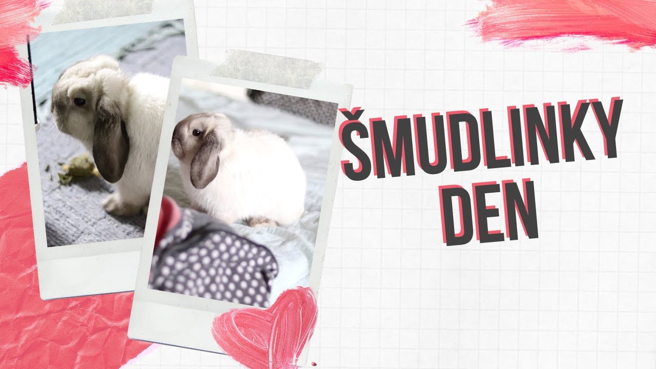 JEDEN ŠMUDLINČIN DEN (lazy day)