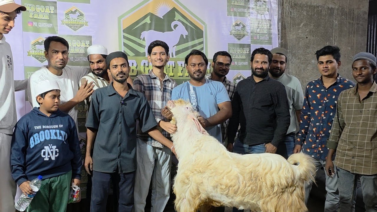 Biggest Goat Farm In Mumbai | Chote Bacho Se Baap Bane Ki Kahaani | MB Goat Farm Vikhroli Mumbai.