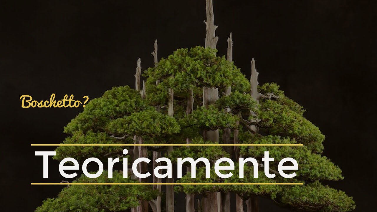Boschetto? Teoricamente